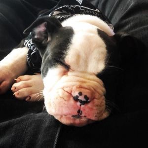 Meet your Posher, Mikie